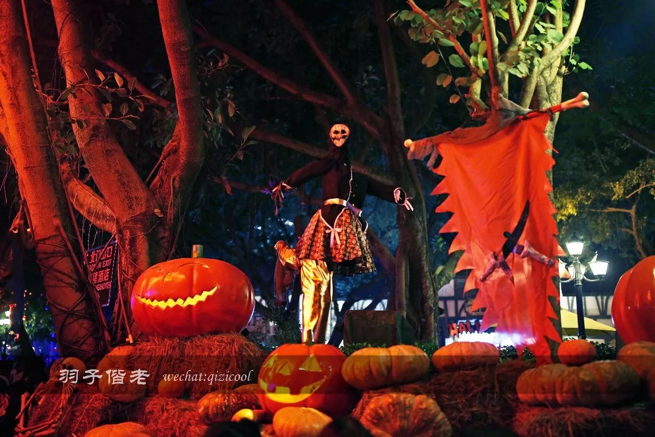 火爆全网的长隆欢乐世界万圣节,长隆表演活动时间最新万圣节