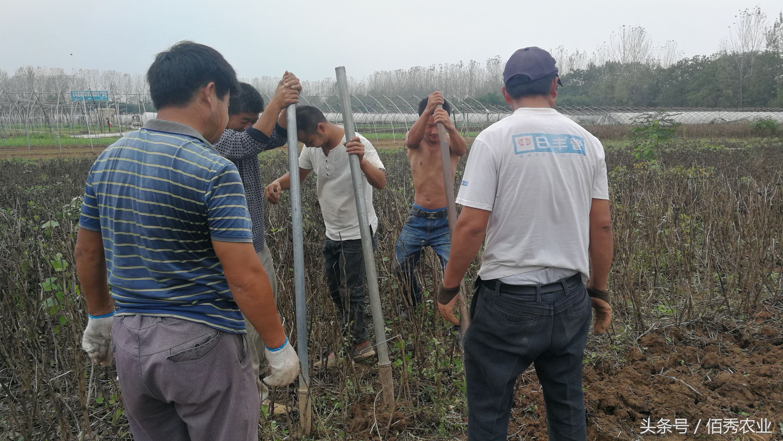 农村做什么项目能赚一点小钱,农村怎么经营赚钱的项目