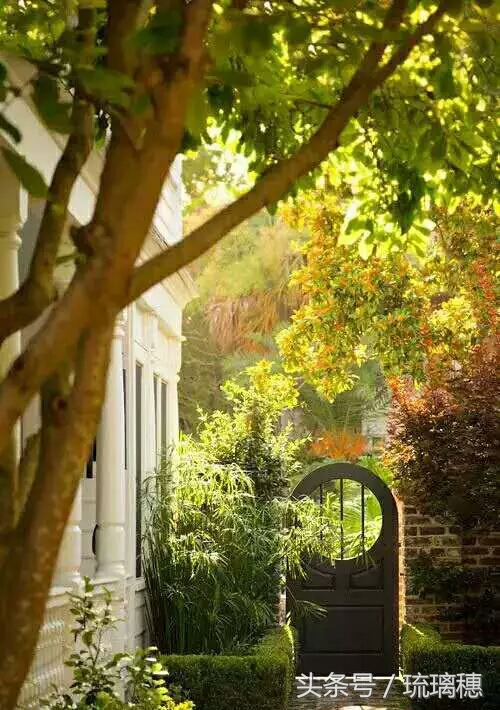 最近经典的句子简短精致句句入心,简短精辟的句子一针见血句句入心