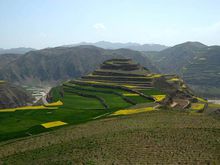 陇原简介,陇原介绍