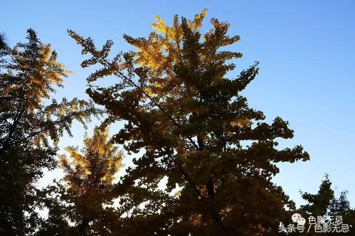 索尼超长焦黑卡rx10iii,索尼黑卡rx10m4相机入门