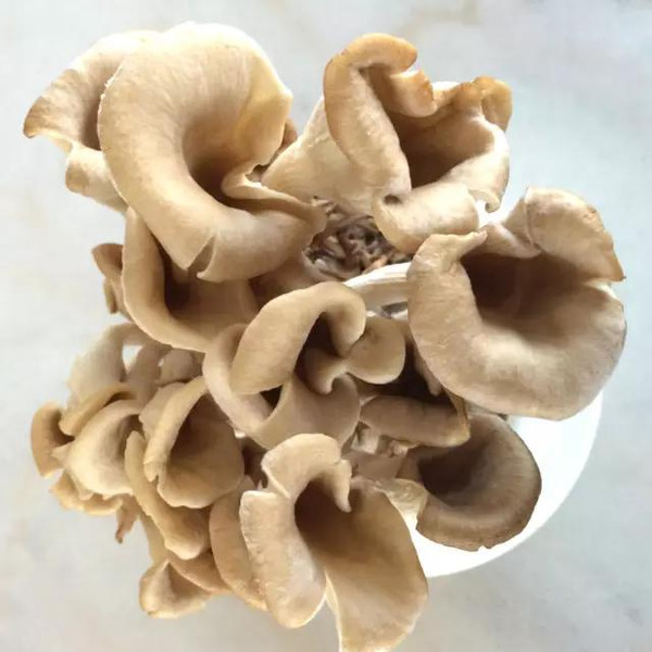 只有薛之谦的火锅店才是最好的吗,薛之谦广州火锅店客流量大吗