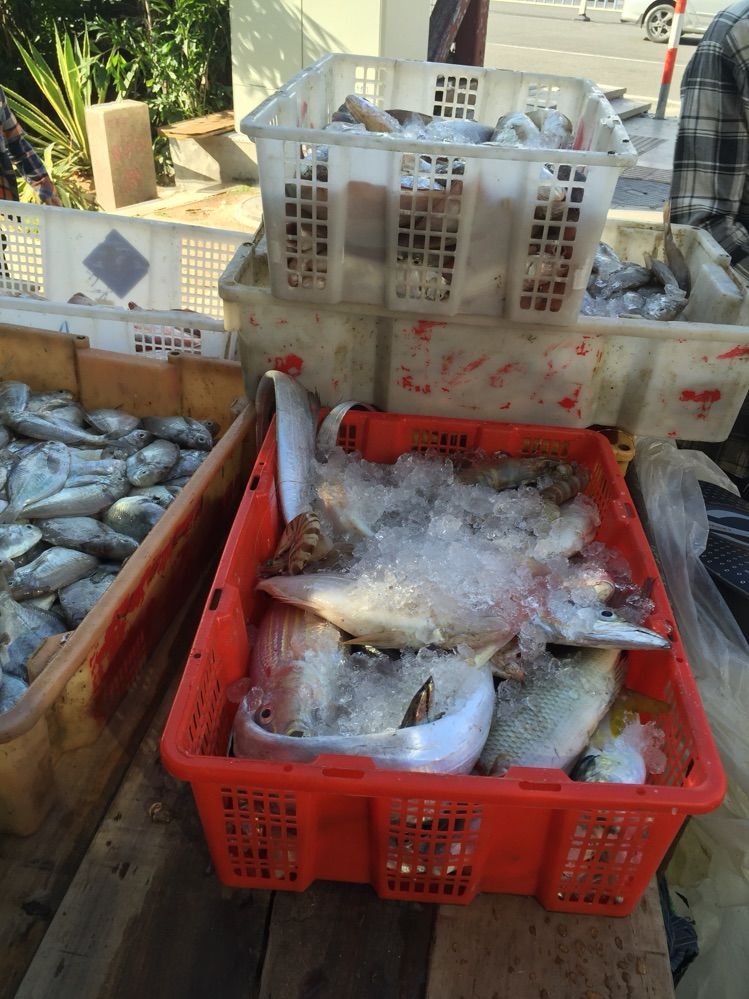 亲子三亚游,什么标题都不如这句话!