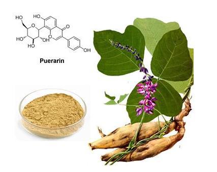 保养卵巢多吃四种最好的食物,吃什么可以保养减缓卵巢衰老