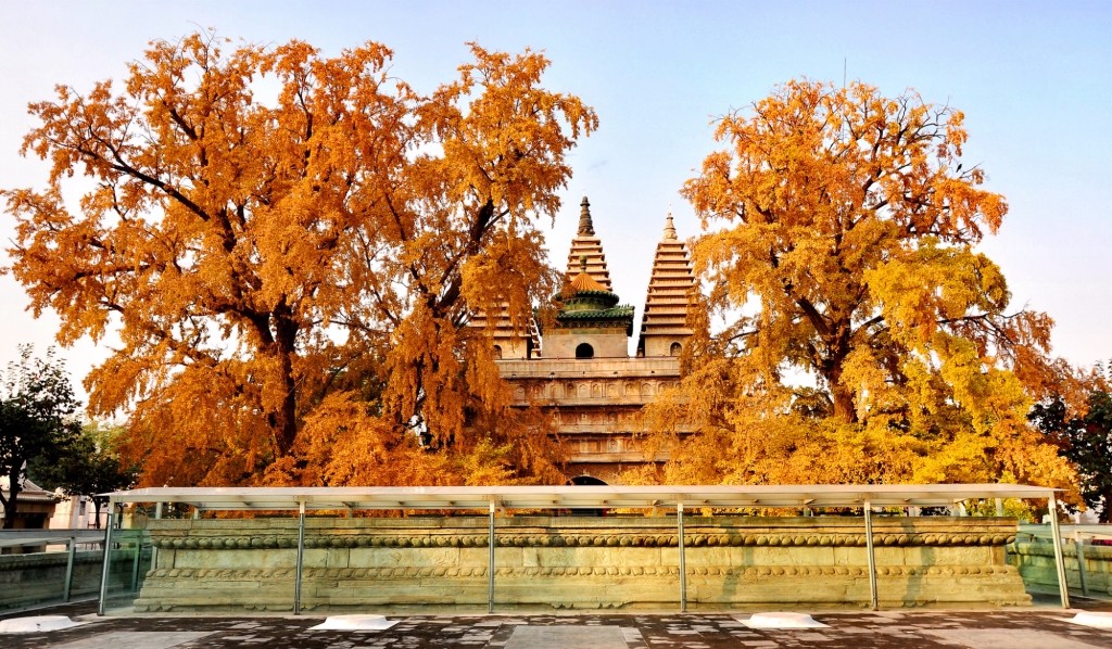 京城赏秋打卡胜地,京城赏荷最佳路线图