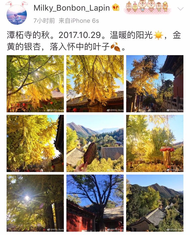 京城赏秋打卡胜地,京城赏荷最佳路线图
