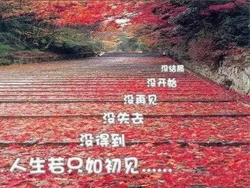 人生若只如初见安意如在线阅读,人生若只如初见安意如薛涛