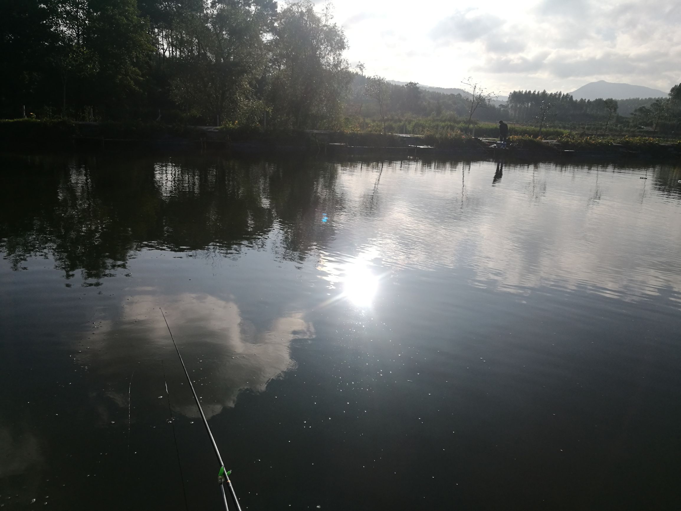 钓鲫鱼浮漂如何收竿,鱼坑钓鲫鱼规避大鱼技巧