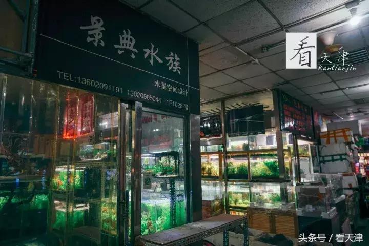 天津宝鸡道花鸟鱼虫市场鹦鹉全吗,天津市宝鸡道花鸟鱼虫市场文玩