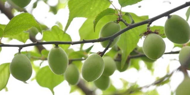 欧赛媤的护肤品怎么样,欧赛媤祛斑怎么样