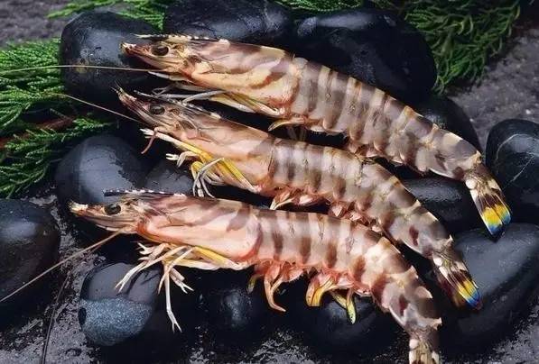 丰胸的食物7天快速丰胸,怎么丰胸不吃任何丰胸产品