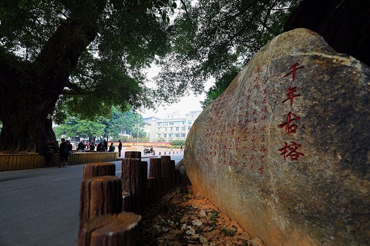 闽中明珠尤溪，八山一水一分田