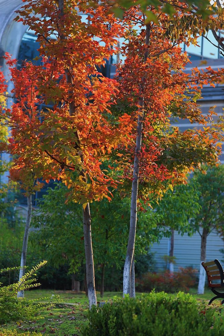 闽中明珠尤溪，八山一水一分田