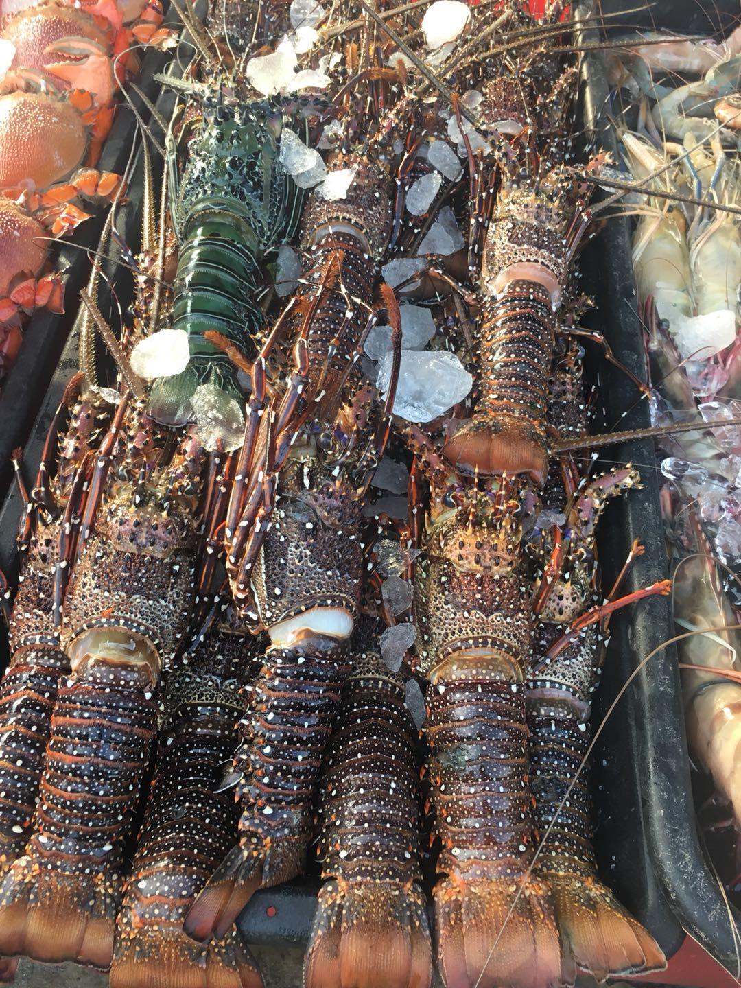 马来西亚姑娘游沙巴,去马来西亚旅游的女生