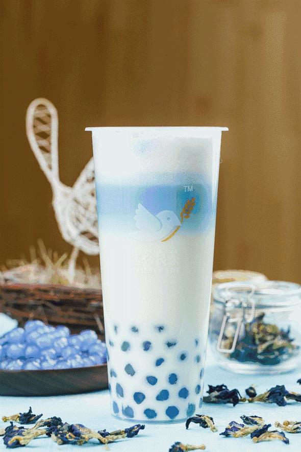 新一轮少女收割机首登天津，为何这家网红饮品店成为新街拍神器？