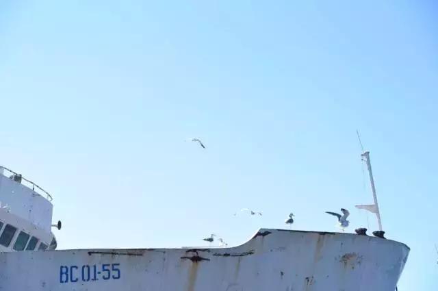 坐火车穿越俄罗斯西伯利亚,欧洲火车途经小镇