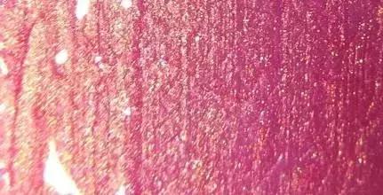 5折值得买的东西,5折买顶级大牌