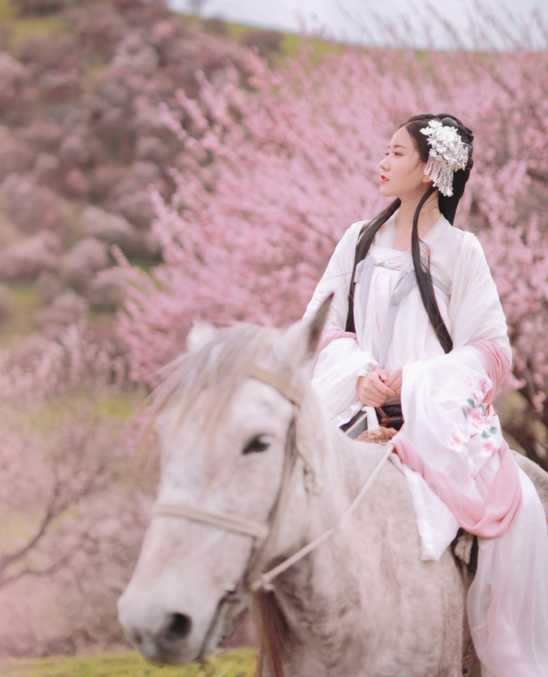 她，是不遇的传说