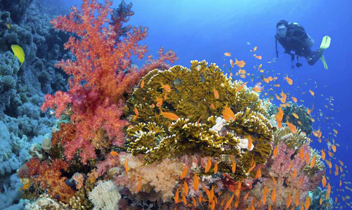 满月岛旅游攻略,满月岛和马尔代夫岛哪个好