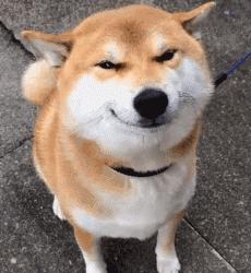 身体乳种草大牌,身体乳美白保湿去鸡皮有用吗