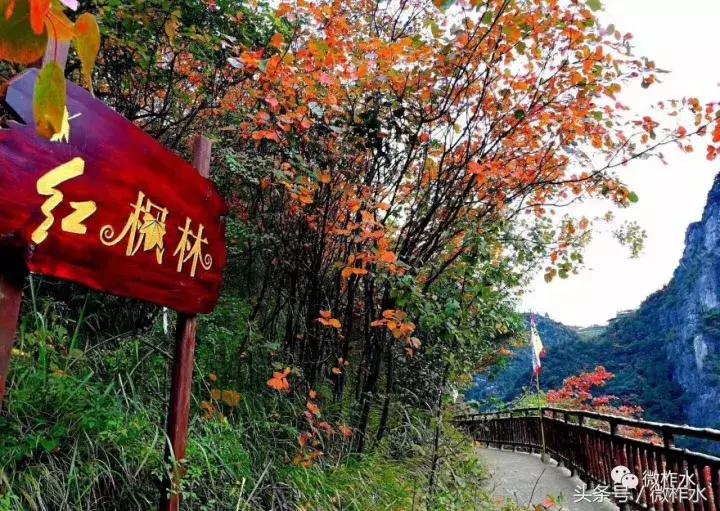 柞水县景点,柞水风景最好的村子