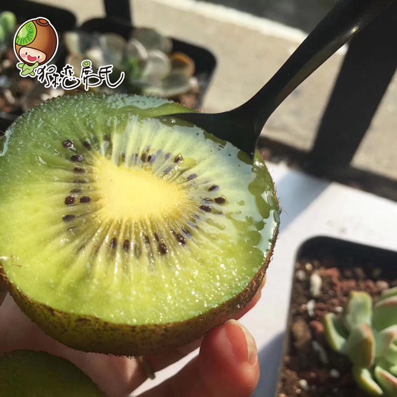 野生猕猴桃有多么可怕,真正的野生猕猴桃了解一下