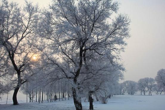 连苹果手机都抵挡不住石家庄的寒气了