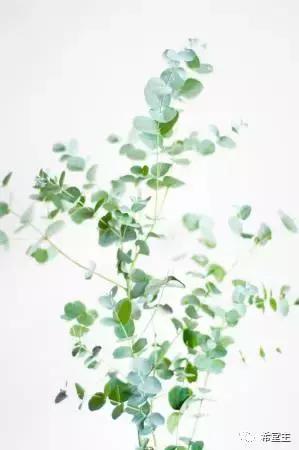 张弛有度又有谁能做到,张弛有度才是最佳方式