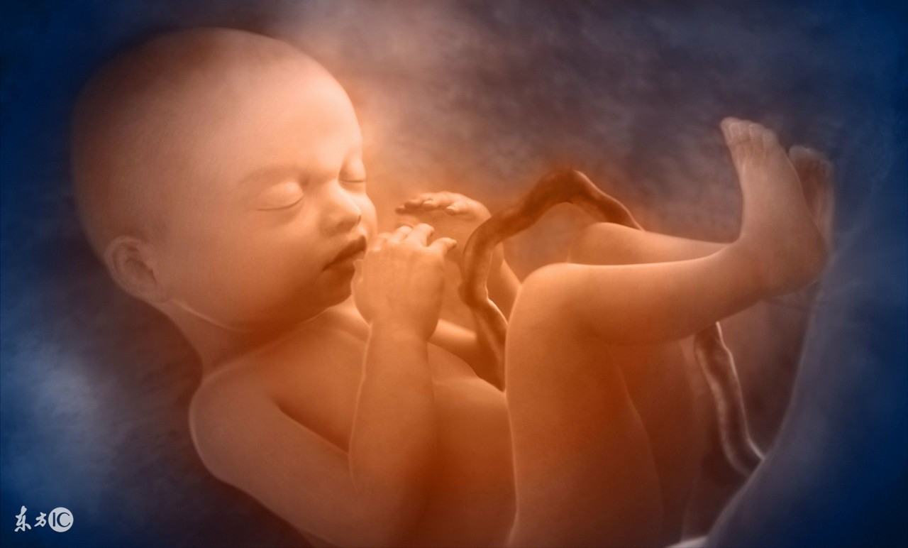 羊水为什么叫羊水秒懂知识,羊水是怎么产生的为什么羊水少