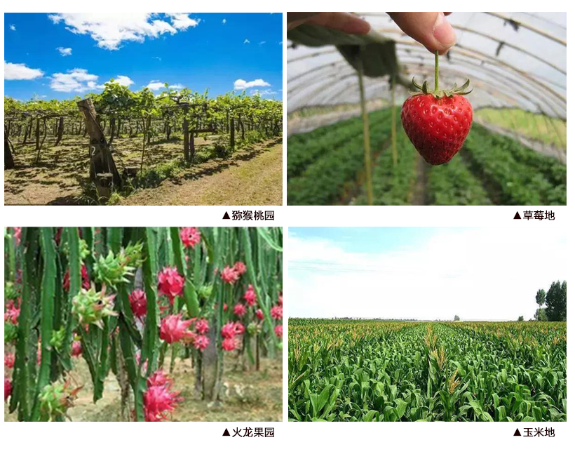 夏天最受欢迎的棒冰好吃不贵,好吃的水果棒冰推荐