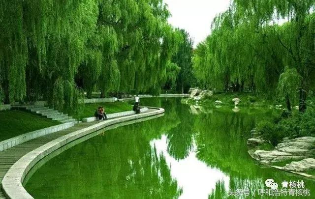 大家好这是我的家英文,大家好这是我的家图片卡通