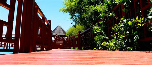 偶遇阳光、海滩在三亚