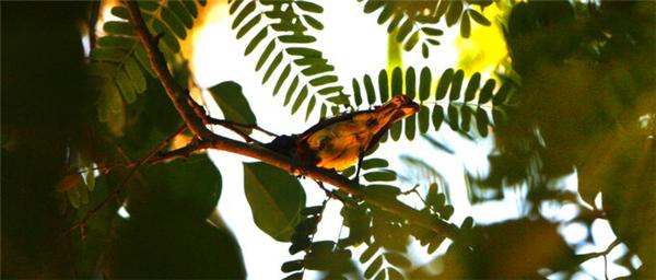 偶遇阳光、海滩在三亚