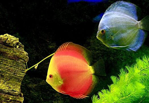 不想稳定只想折腾,大学毕业不想要稳定工作