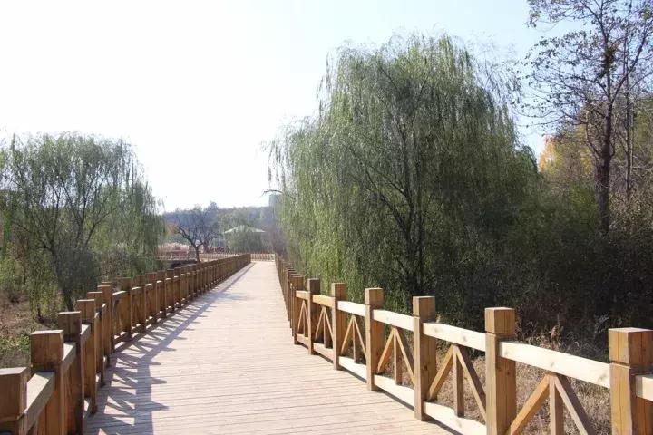 临淄齐国故都旅游文章,来自浓浓的家乡情结