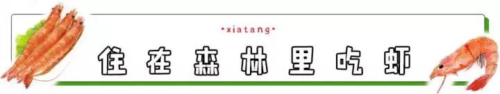 电吹风虾,台湾电吹风烤虾