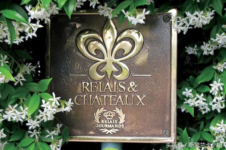 罗莱夏朵在中国性价比最高的酒店,国内的罗莱夏朵酒店