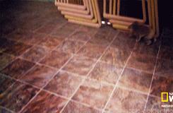 澶ц劯鐚殑鐑︽伡,澶ц劯鐚殑鐑︽伡瑙h