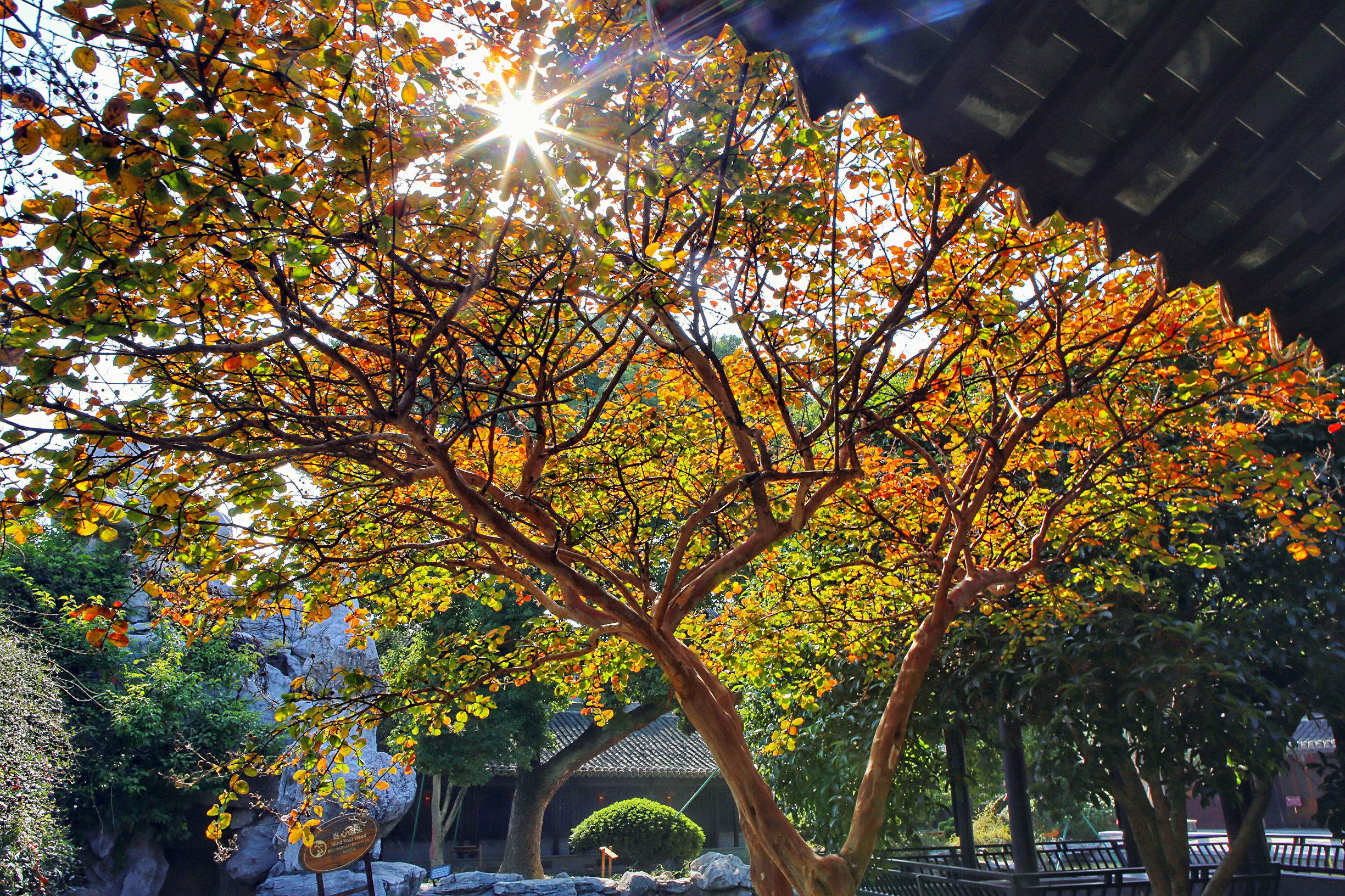 泰州哪个区最适合养老,泰州适合养老的地方