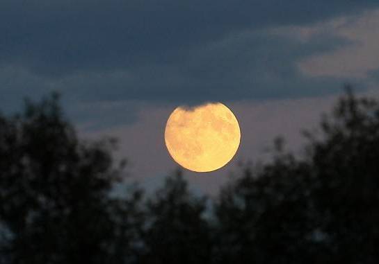 秦玉彦为君十赋全文,为君十赋鹧鸪天新韵