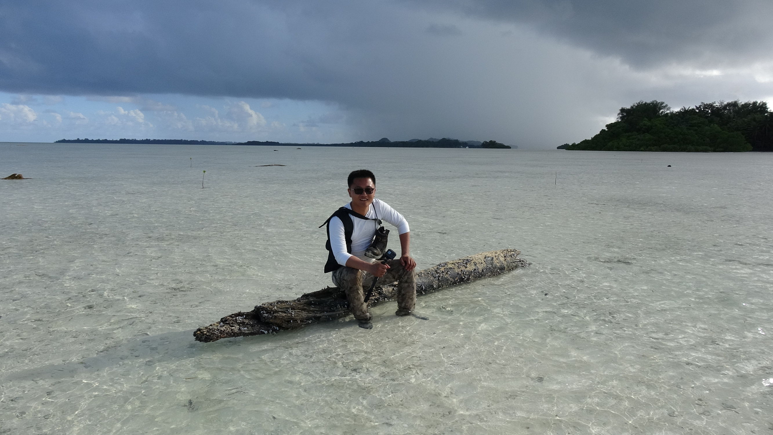 中国护照落地签或者免签的国家,中国免签和落地签国家数量2024