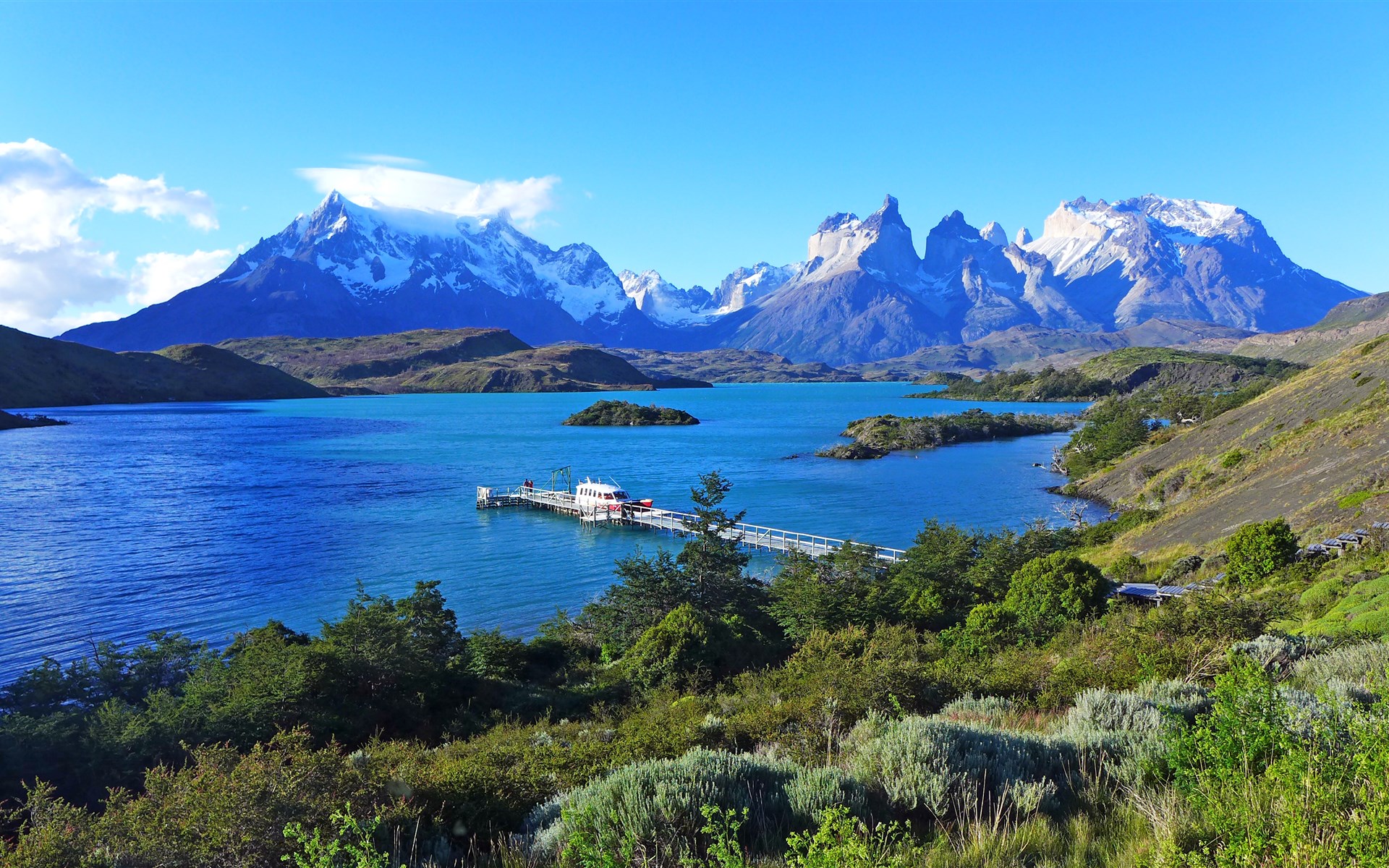 属鸡的六月有大喜,属鸡之人本月运势