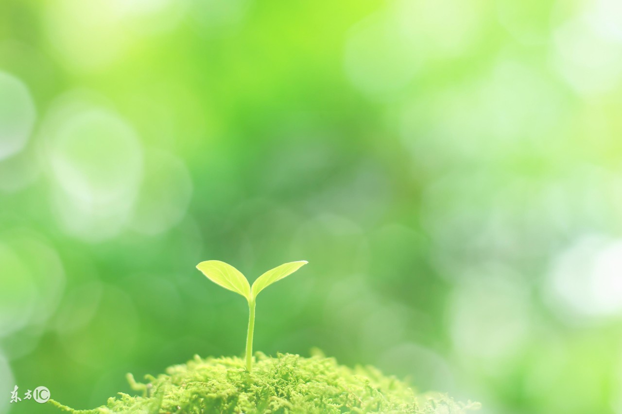 手机视频格式转换器推荐,免费视频格式转换器