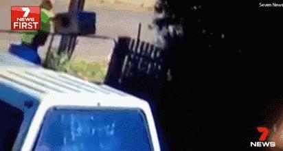 明天这16种东西禁止入境！别再问你的包裹为啥这么慢了