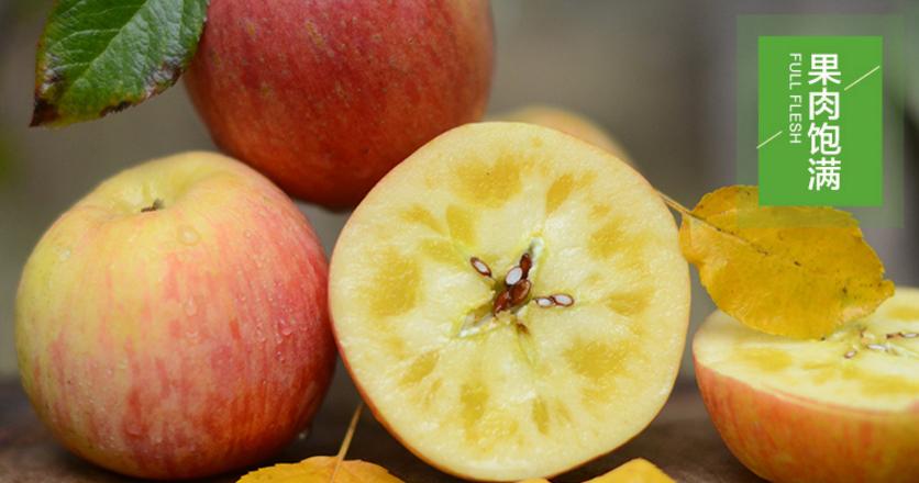 红枣核桃夹心新疆发货,红枣零食新疆特产旗舰店