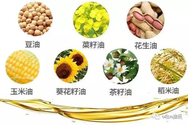 食用油的脂肪酸含量排名,常用食用油的脂肪酸营养表