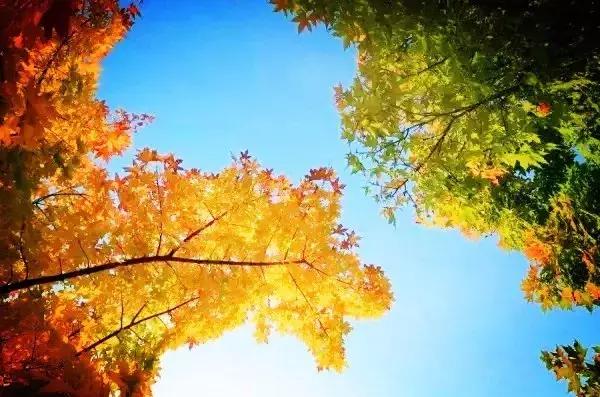 青岛最美地铁,青岛最美九大风景区