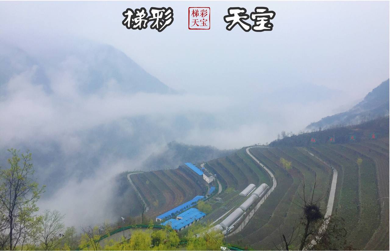 大家好，给大家介绍下，这是我的家乡仓上