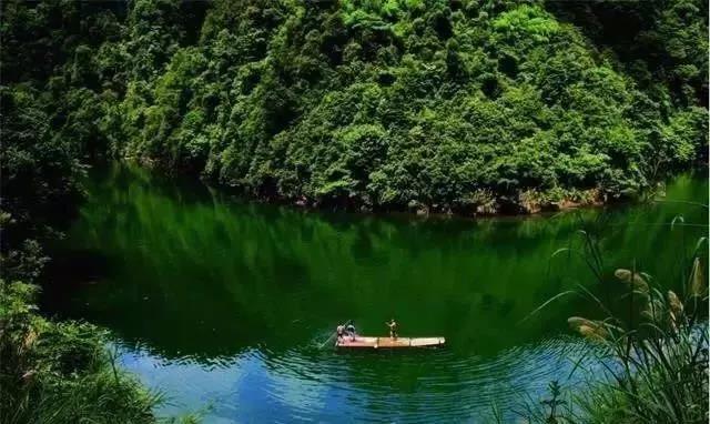 影者无疆完整版,影者无疆