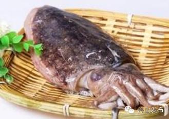 一张图鱿鱼章鱼八爪鱼墨鱼的区别,章鱼鱿鱼墨鱼小知识